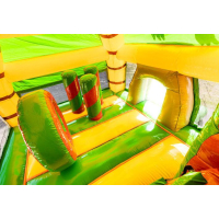 Springkasteel 'dino splash'